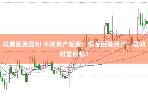 股票配资盈利 不良资产配资：掘金困境资产，撬动财富新机？