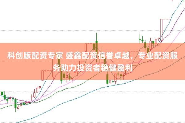 科创版配资专家 盛鑫配资信誉卓越，专业配资服务助力投资者稳健盈利