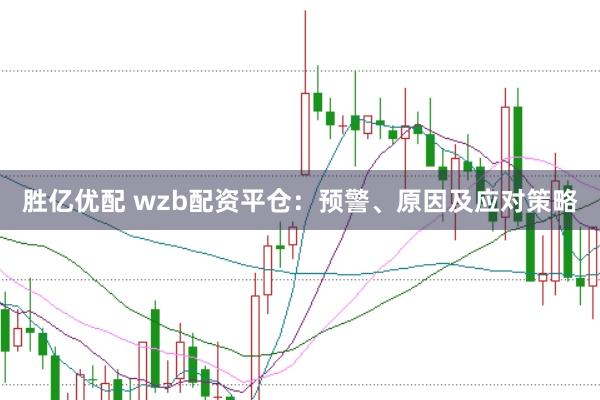 胜亿优配 wzb配资平仓：预警、原因及应对策略