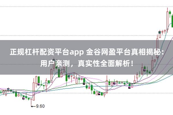 正规杠杆配资平台app 金谷网盈平台真相揭秘：用户亲测，真实性全面解析！